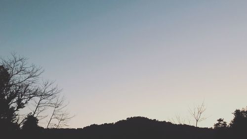 Low angle view of silhouette trees against clear sky