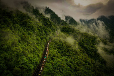 Aerial view of car on road amidst forest