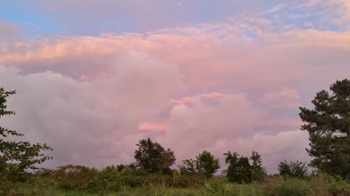 Scenic view of grassy field against cloudy sky