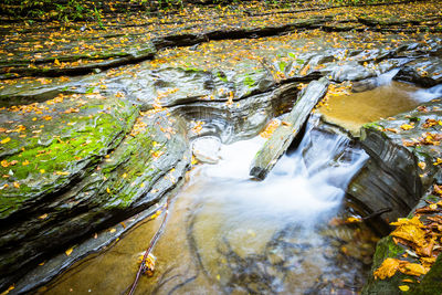 Scenic view of waterfall in forest