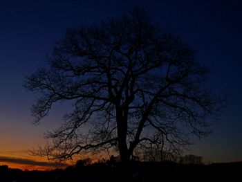 Silhouette bare tree on field against sky at sunset