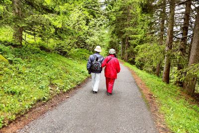 Rear view of couple walking in forest road