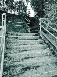 View of stairs along trees