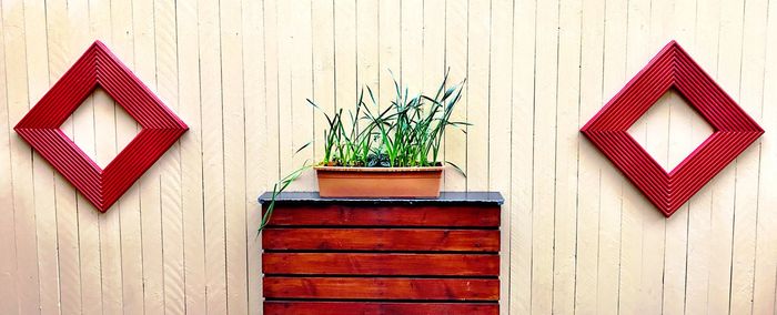 Close-up of potted plants on wooden wall