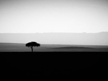 Silhouette of tree on grassland against clear sky