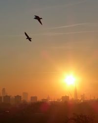 Silhouette birds flying against sky during sunset