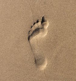 High angle view of footprints on wet sand