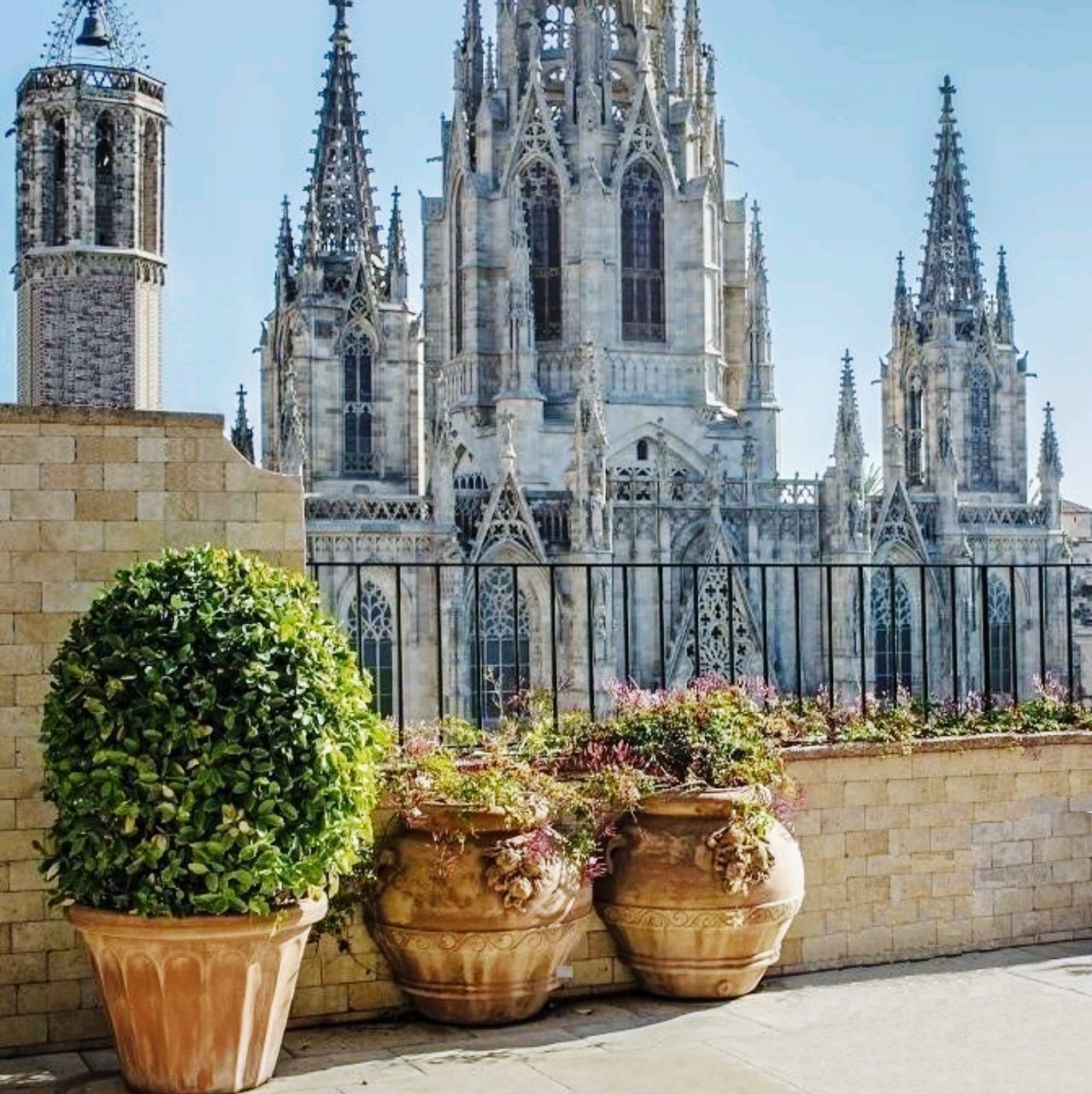 POTTED PLANTS OUTSIDE A TEMPLE