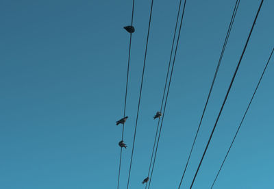 Low angle view of birds flying against clear blue sky