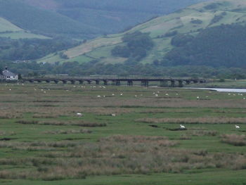 Scenic view of field and mountains