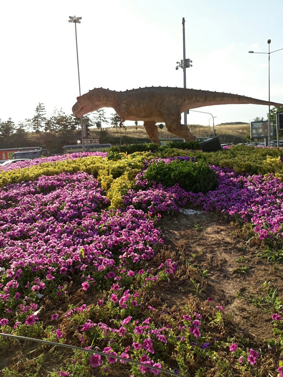 flower, beauty in nature, nature, day, growth, plant, purple, freshness, no people, outdoors, park - man made space, fragility, flowerbed, springtime, flower head