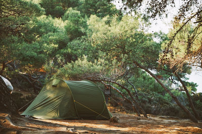 View of tent and trees