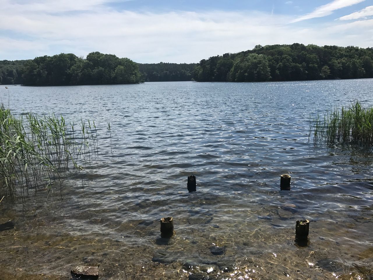 water, lake, nature, outdoors, day, tranquility, tree, no people, sky, tranquil scene, beauty in nature, scenics