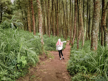 Rear view of woman walking in forest