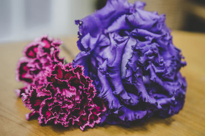 Close-up of purple flower on table