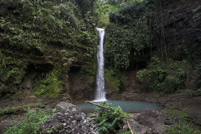 Scenic view of waterfall in forest