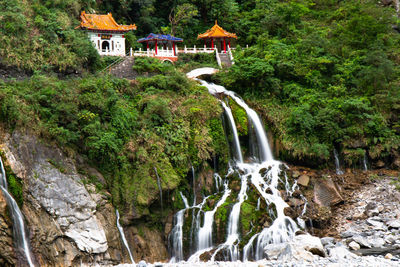 Scenic view of waterfall in forest