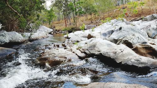 Stream flowing through rocks in forest