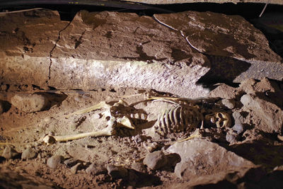 High angle view of rocks