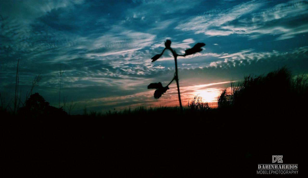 silhouette, sunset, sky, cloud - sky, tranquility, scenics, tranquil scene, tree, beauty in nature, nature, cloud, one person, dusk, idyllic, landscape, outline, orange color, outdoors, dark, field