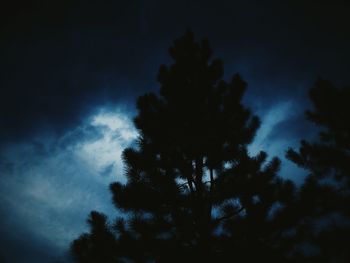 Low angle view of silhouette trees against sky