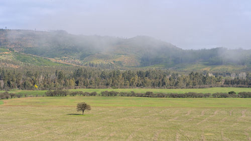 environment