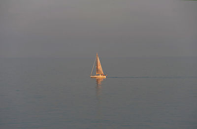 Sailboat sailing on sea against sky