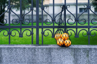 Close-up of basketball hoop