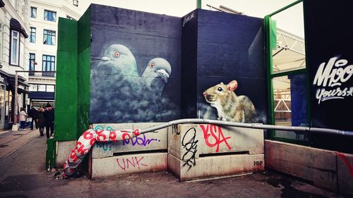 Cat sitting on a graffiti wall