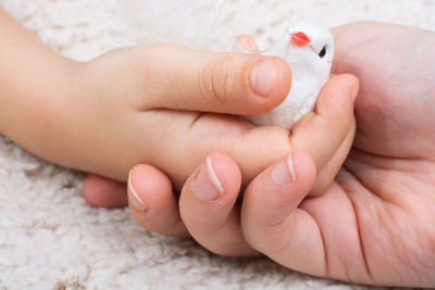 Close-up of hands