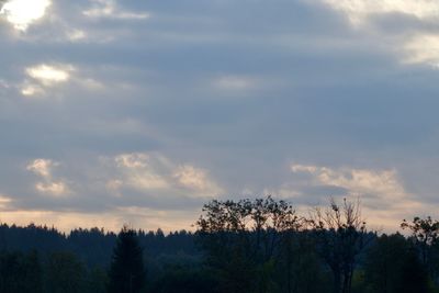 Scenic view of trees against sky during sunset