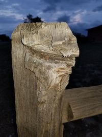 Close-up of wooden post on tree stump