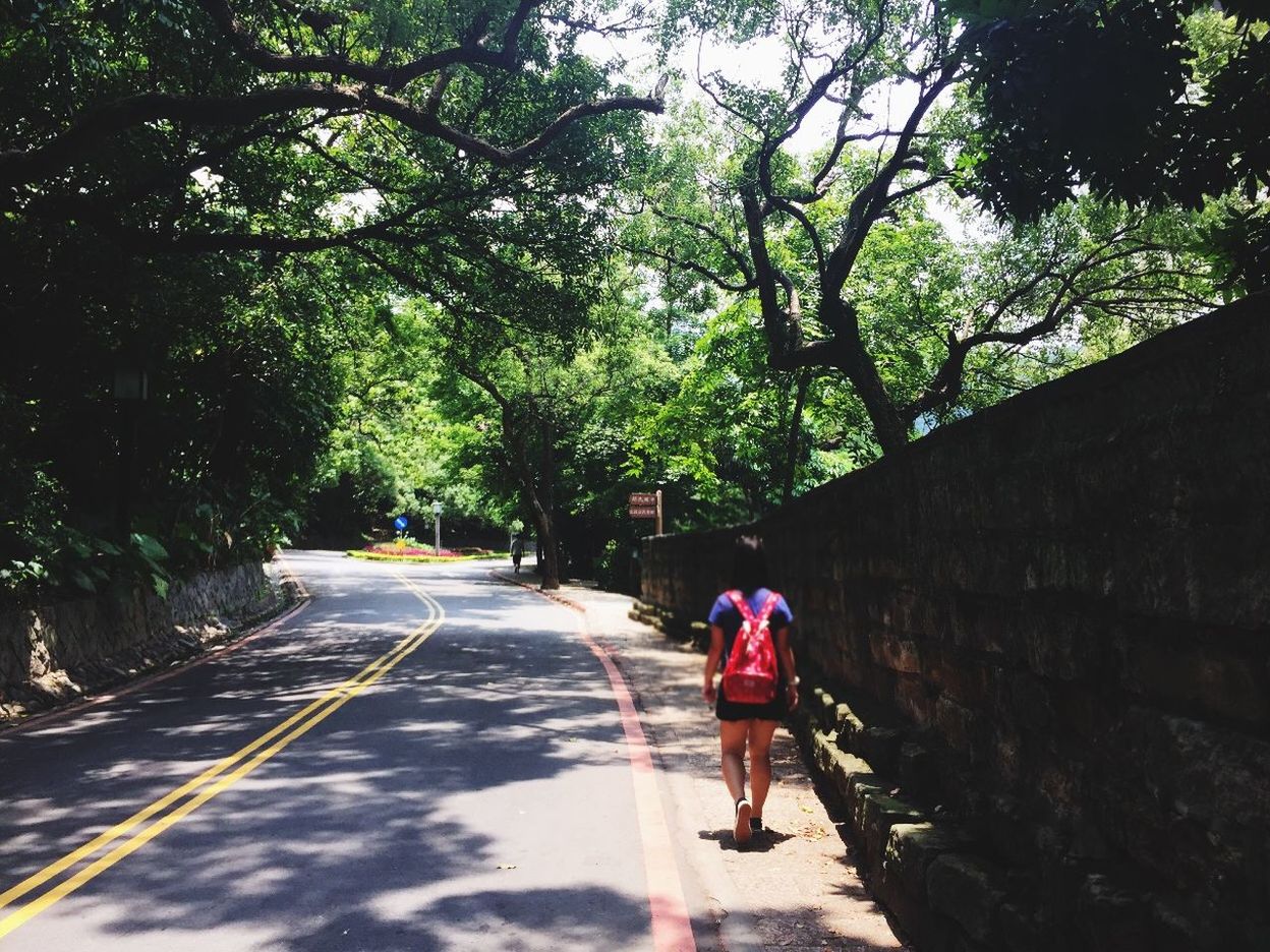 tree, full length, the way forward, rear view, walking, road, lifestyles, leisure activity, transportation, men, diminishing perspective, street, riding, vanishing point, casual clothing, on the move, dirt road, person