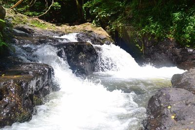 Scenic view of waterfall
