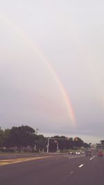 Rainbow over trees