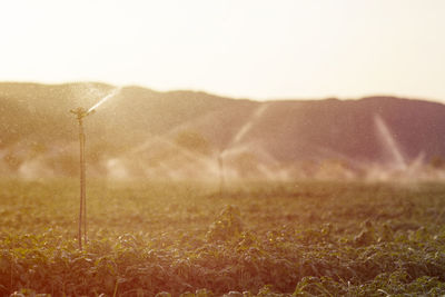 Scenic view of field against sky