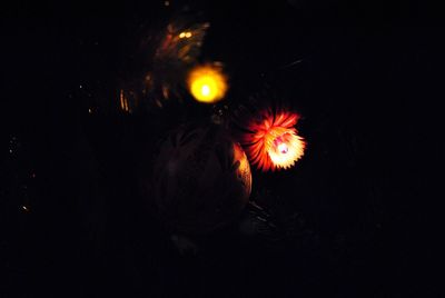 Firework display at night