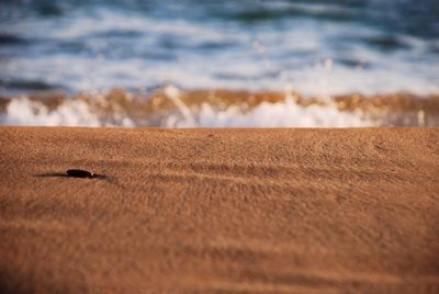 Scenic view of beach