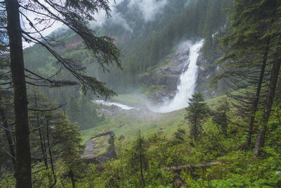 Scenic view of waterfall in forest