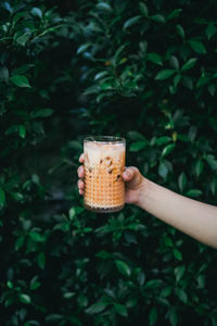 Cropped hand of woman holding drinking glass against plants