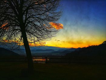 Silhouette trees on landscape against sky at sunset