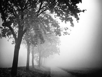 fog
