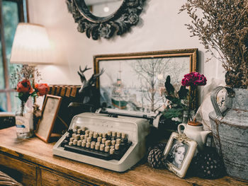 Potted plants on table with typewriter at home