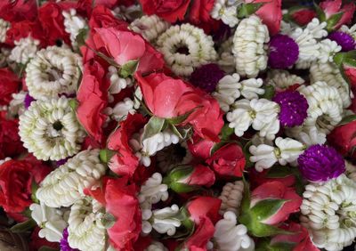 White jasmine and red rose background