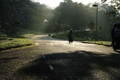 People on road against trees