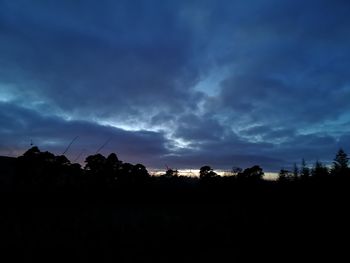 Silhouette of trees against dramatic sky