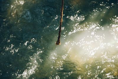 High angle view of rope hanging over sea