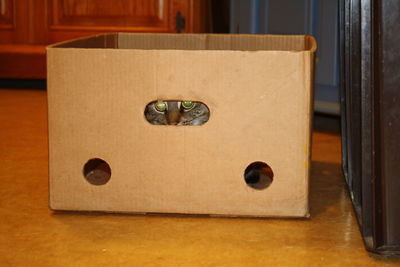 Close-up of food on table