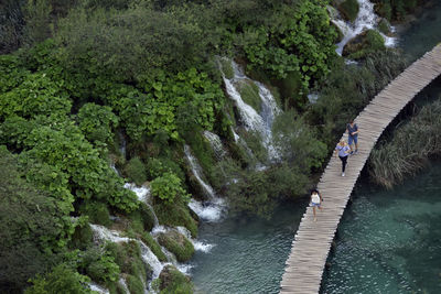 Scenic view of river amidst trees in forest