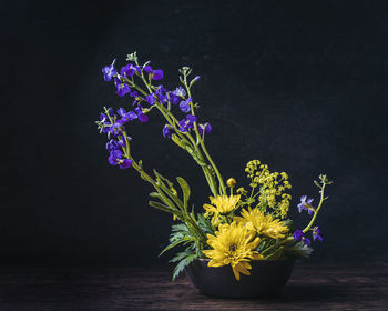 Close-up of flower pot on table against black background